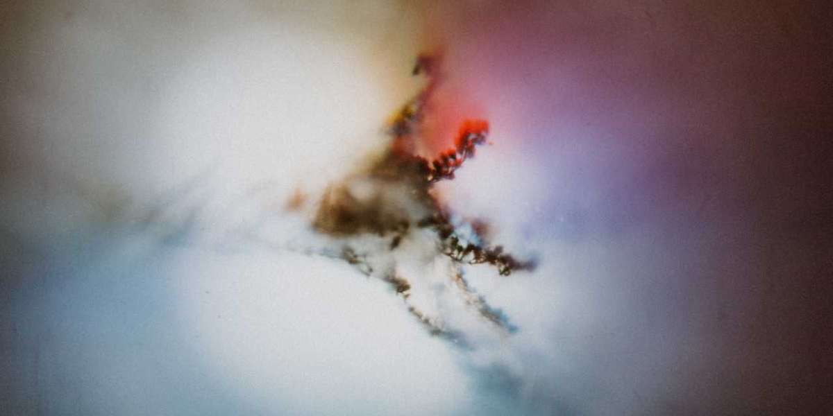 Compete for BFIA is an alcoholic replicate